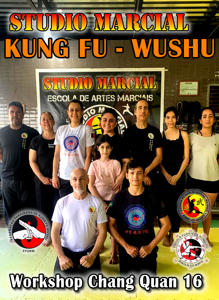 Workshop de Wushu Esportivo